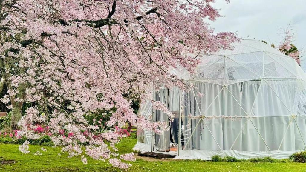 Flowerhaven - glamping dome