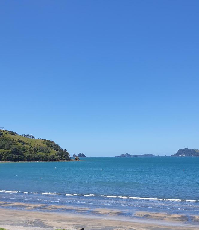 Beachsider Whitianga