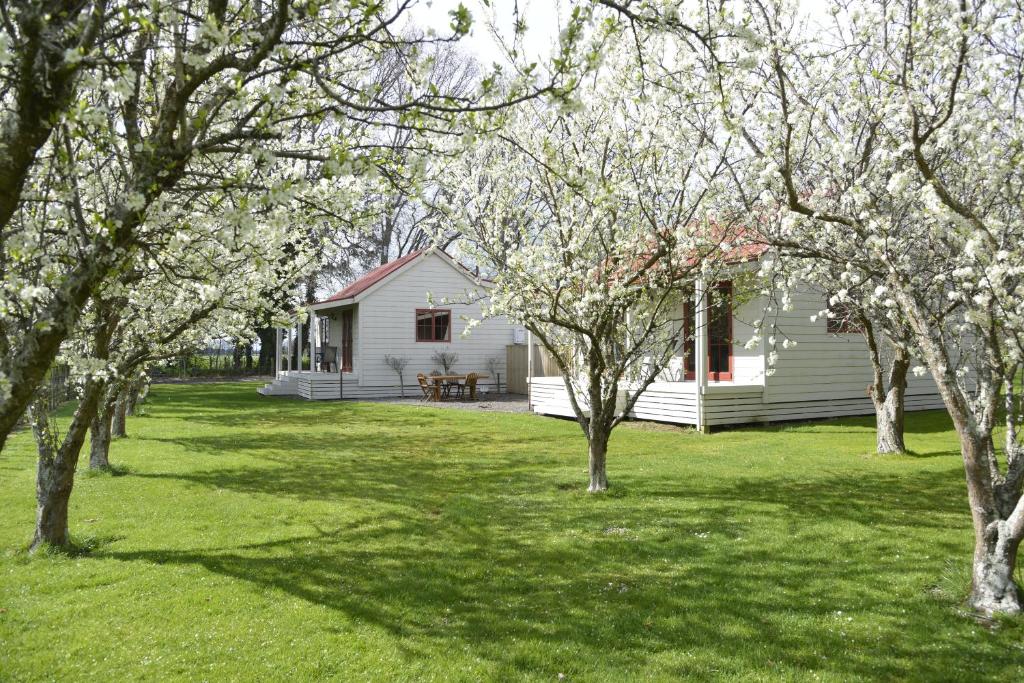 Terracotta Lodge & Cottages