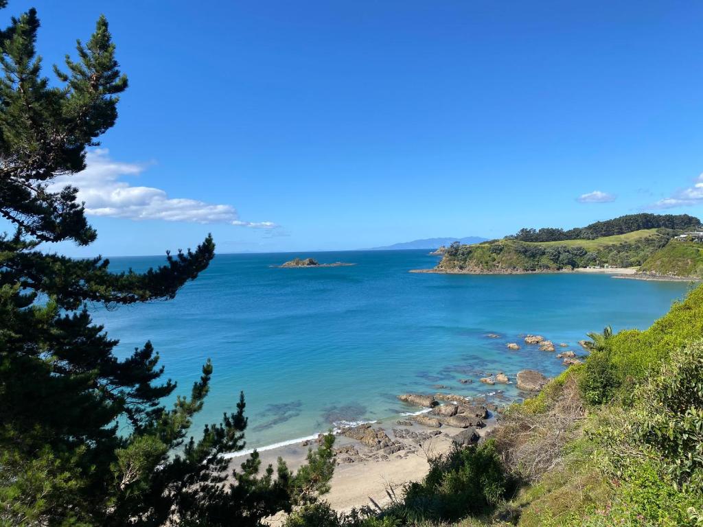 Waiheke bliss near Palm Beach