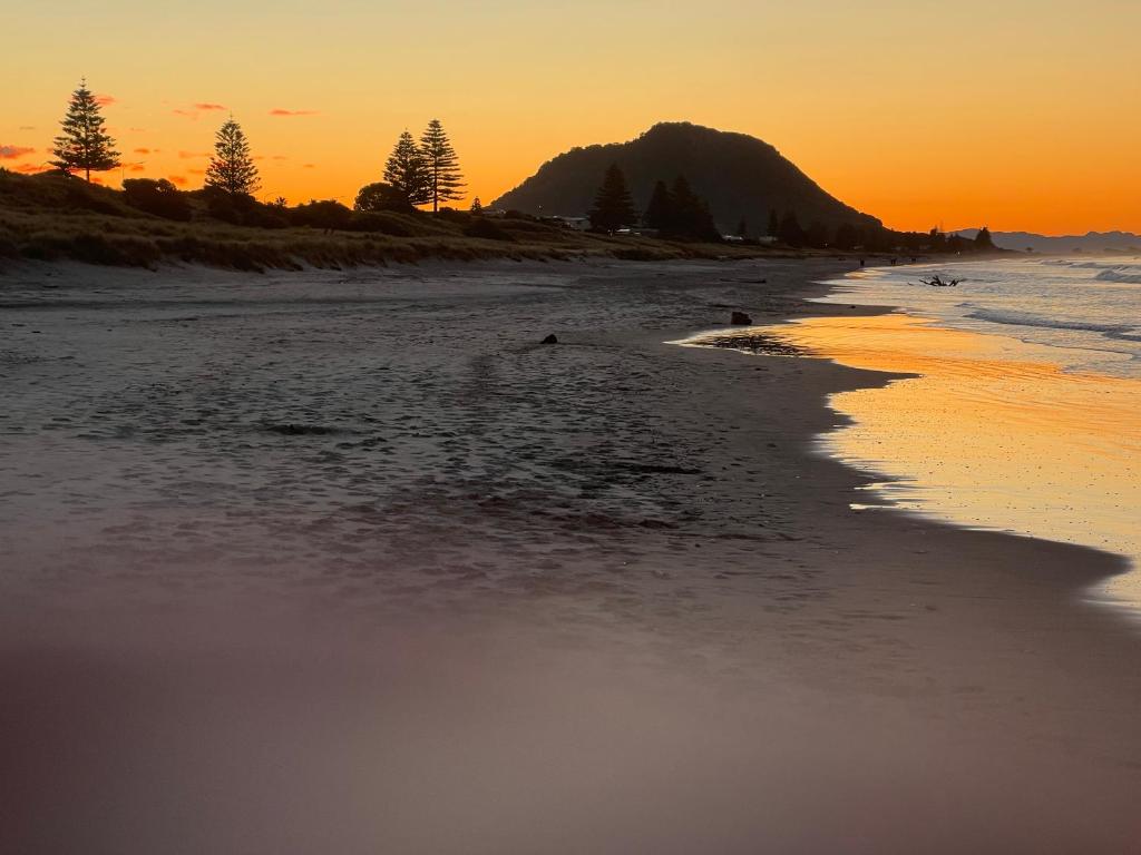 Beachside Bliss