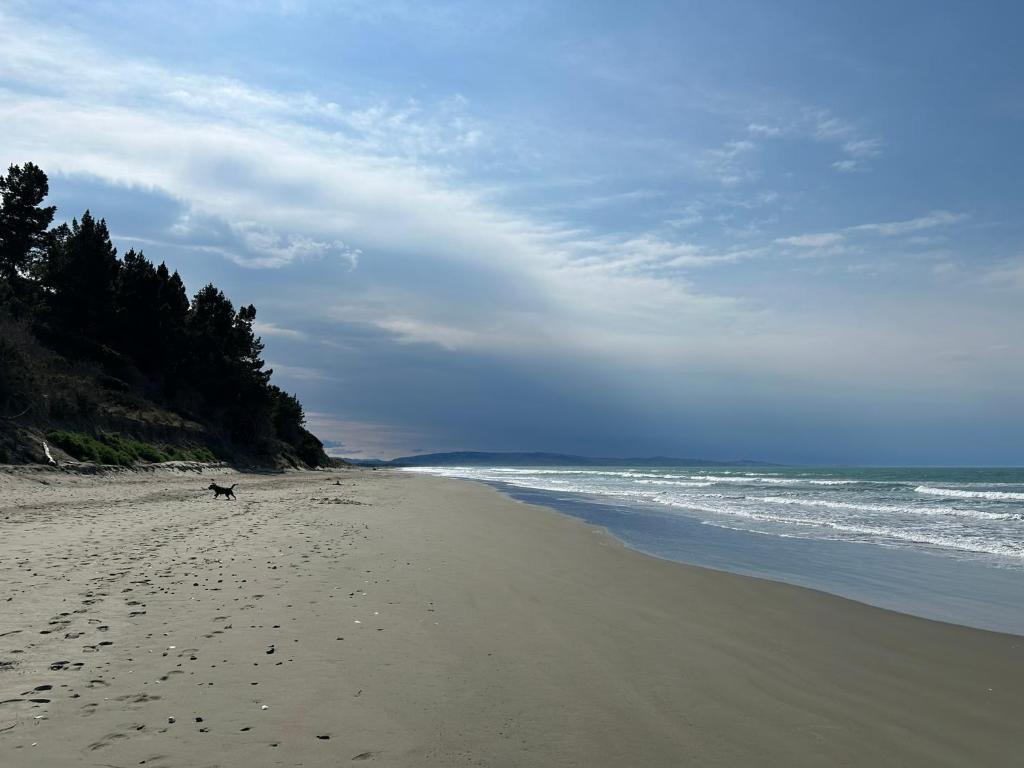Waikuku Beach Holiday Park